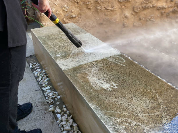 Best Roof Power Washing Services  in Maplewood, MN
