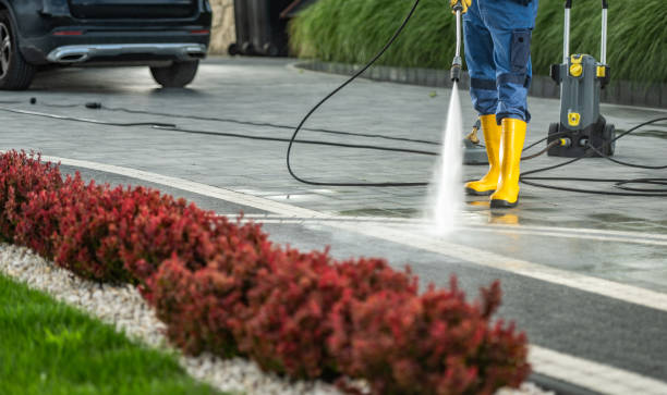 Best Roof Power Washing Services  in Maplewood, MN